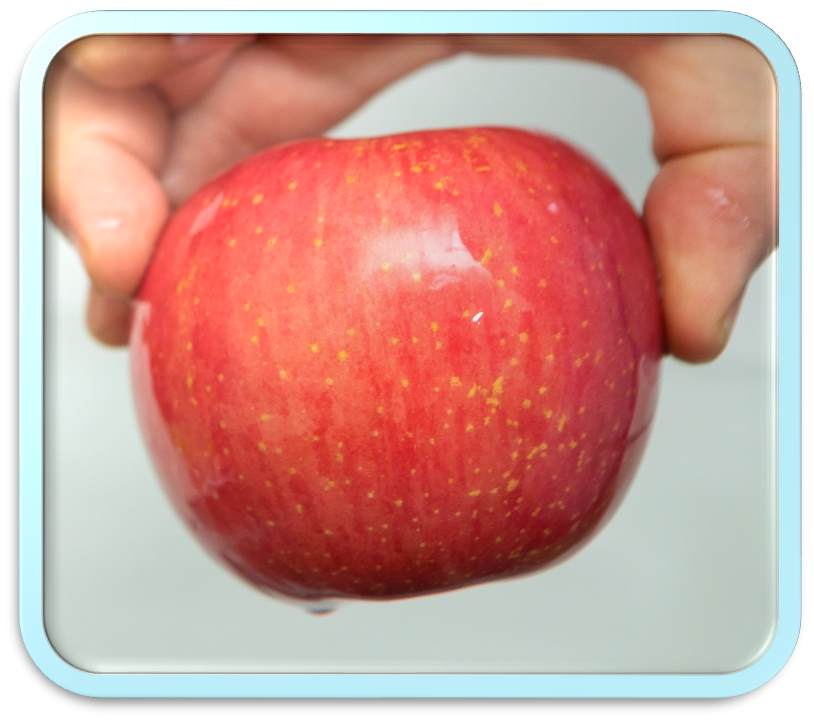 apple2 apple2