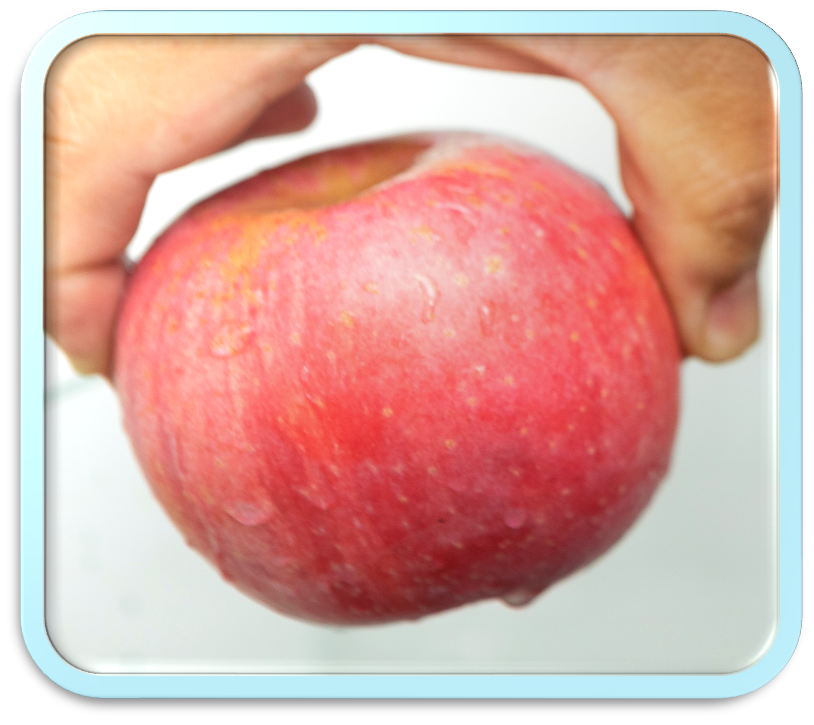 appple1 appple1