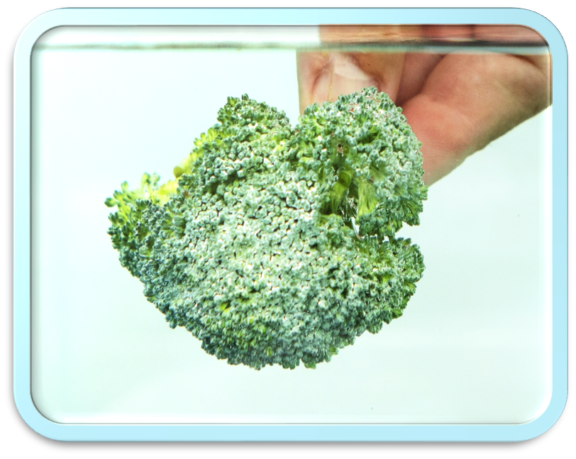 brocoli1 brocoli1