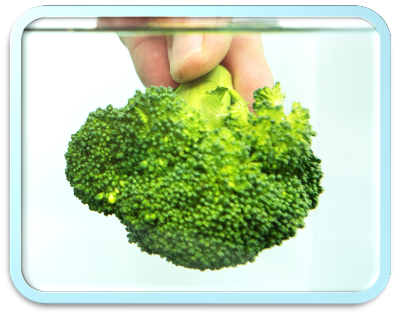 brocoli2 brocoli2
